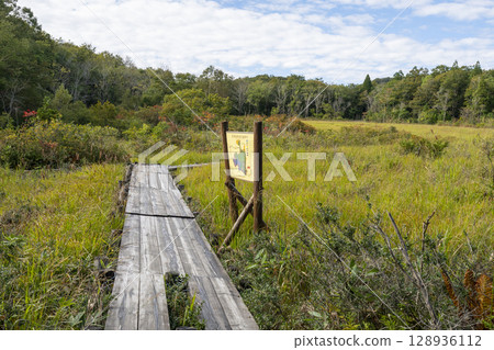 Autumn scenery of Tamahara Marsh and boardwalk in Tamahara, Gunma Prefecture Autumn scenery of Tamahara Marsh and boardwalk in Tamahara, Gunma Prefecture 128936112