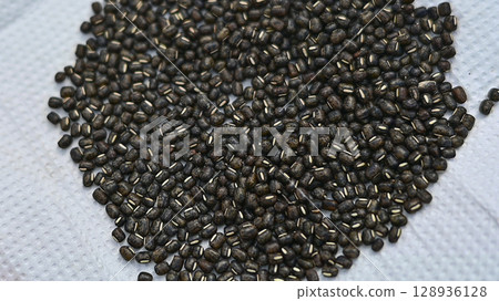 The wild adzuki bean, an original species of adzuki bean, has attracted attention through DNA analysis The wild adzuki bean, an original species of adzuki bean, has attracted attention through DNA analysis 128936128