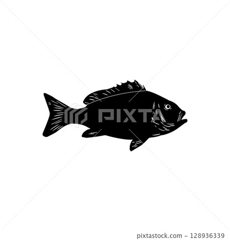 black and white tilapia vector icon 128936339