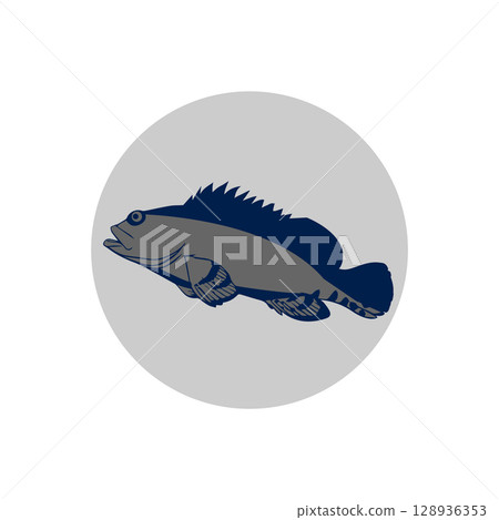 grouper fish icon vectors design grouper fish icon vectors design 128936353