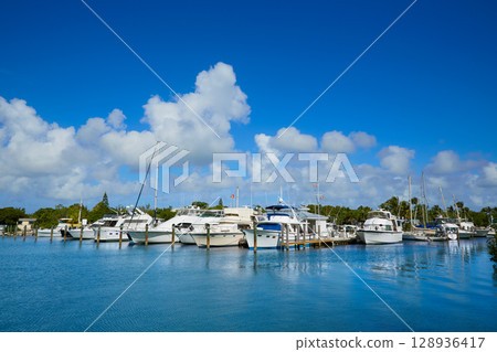 Key West Florida marina Garrison Bight Florida Key West Florida marina Garrison Bight Florida 128936417