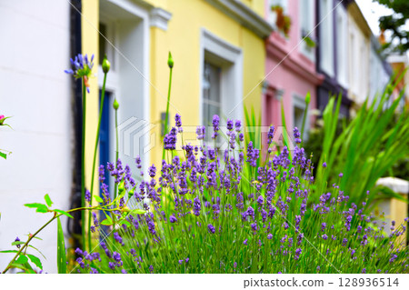 London Portobello road Market flowers in UK London Portobello road Market flowers in UK 128936514