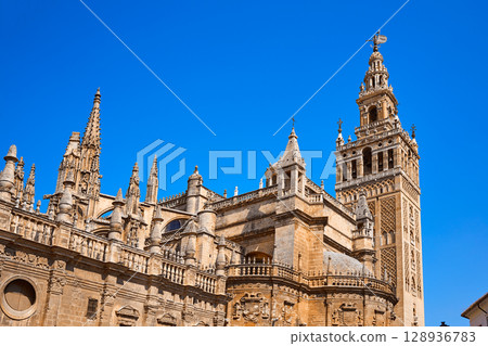 Seville cathedral Giralda tower of Sevilla Seville cathedral Giralda tower of Sevilla 128936783