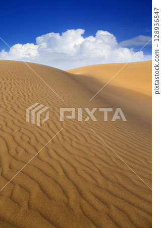 Desert sand dunes in Maspalomas Gran Canaria Desert sand dunes in Maspalomas Gran Canaria 128936847