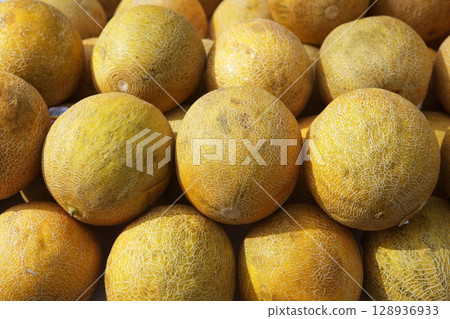 yellow melon fruits market stacked rows yellow melon fruits market stacked rows 128936933