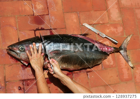 Bloody Mediterranean tuna fish preparation Bloody Mediterranean tuna fish preparation 128937275
