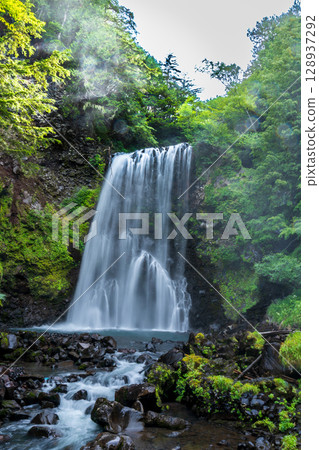 Zengoro waterfall in Norikura Kogen in summer Zengoro waterfall in Norikura Kogen in summer 128937292