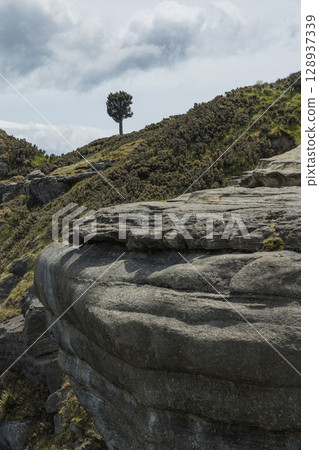 A view of Bell Rock in Tutira, Hawke's Bay, New Zealand 128937339