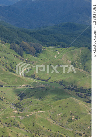 紐西蘭霍克斯灣圖蒂拉貝爾岩環形步道的景色 紐西蘭霍克斯灣圖蒂拉貝爾岩環形步道的景色 128937361