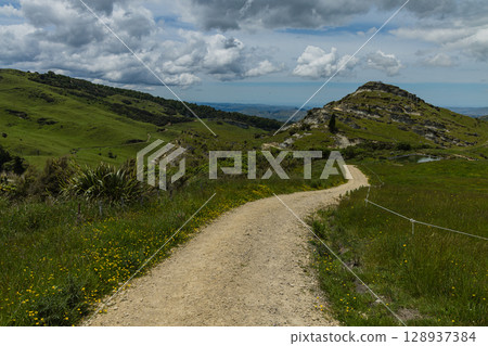 View from Bell Rock Loop Track, Tutira, Hawke's Bay, New Zealand 128937384