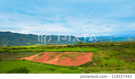 Way of Saint James world map in grass Cirauqui Way of Saint James world map in grass Cirauqui 128937443