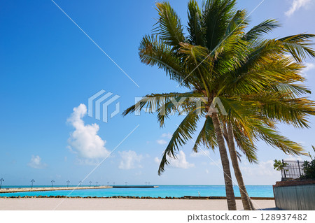 Key west florida beach Clearence S Higgs 128937482
