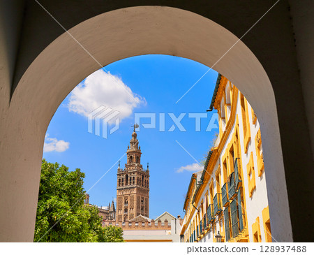 Seville cathedral Giralda tower from Alcazar Seville cathedral Giralda tower from Alcazar 128937488