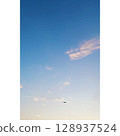 夏日的天空，鳥兒 128937524