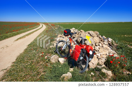 Camino de Santiago by bicycle Saint James 128937557