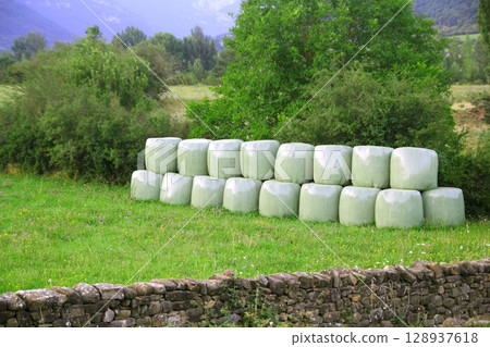 cereal bales round green plastic wrap cover 128937618