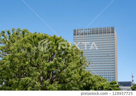 Skyscrapers seen from the square in front of the Imperial Palace Skyscrapers seen from the square in front of the Imperial Palace 128937725