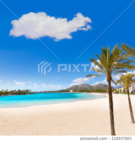 Platja de Alcudia beach in Mallorca Majorca Platja de Alcudia beach in Mallorca Majorca 128937801