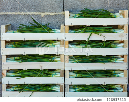Onion harvest stacked in wooden basket boxes Onion harvest stacked in wooden basket boxes 128937813