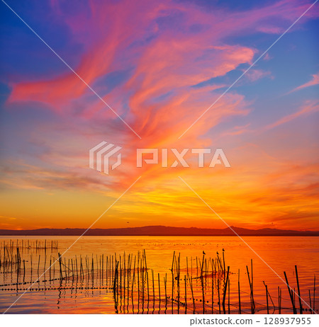 La Albufera lake sunset in El Saler of Valencia 128937955
