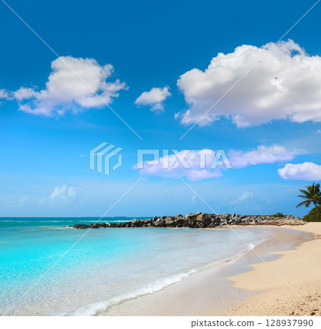 Key West beach fort Zachary Taylor Park Florida 128937990