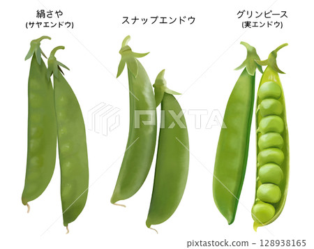 三種豌豆（附文字） 128938165