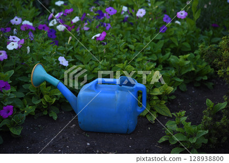 Blue watering cans for watering flowers in the summer garden. Watering flowers in the garden. Roses and watering cans. Blue watering cans for watering flowers in the summer garden. Watering flowers in the garden. Roses and watering cans. 128938800