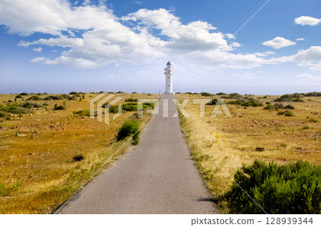 Barbaria berberia cape lighthouse Formentera meadow 128939344