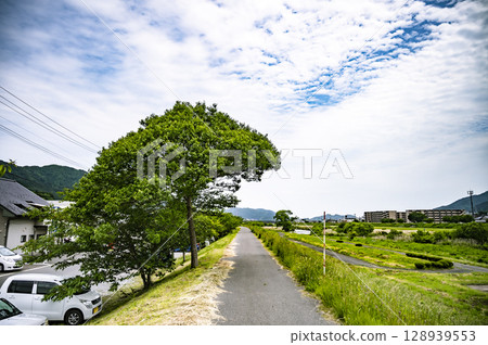 A walkway where nature and residential areas coexist in a regional city A walkway where nature and residential areas coexist in a regional city 128939553
