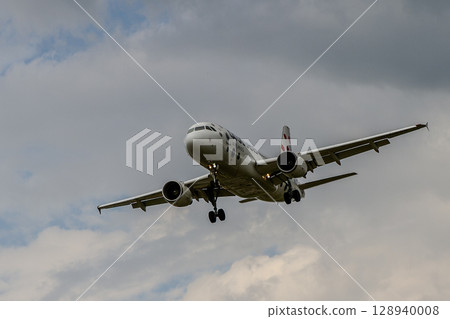 Belgium, Brussels Airport, Brussels Airlines aircraft, Airbus A319, OO SSR. Belgium, Brussels Airport, Brussels Airlines aircraft, Airbus A319, OO SSR. 128940008