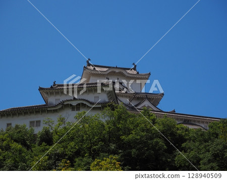 Himeji castle   128940509