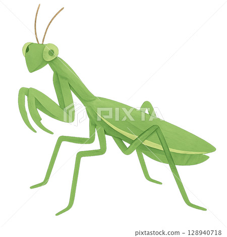 螳螂插圖素材 螳螂插圖素材 128940718