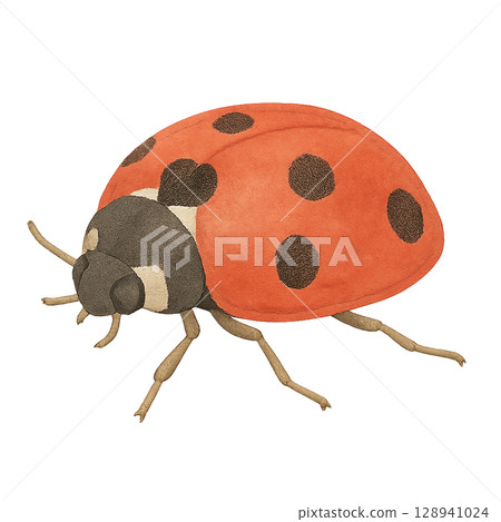 Cute ladybug illustration material Cute ladybug illustration material 128941024
