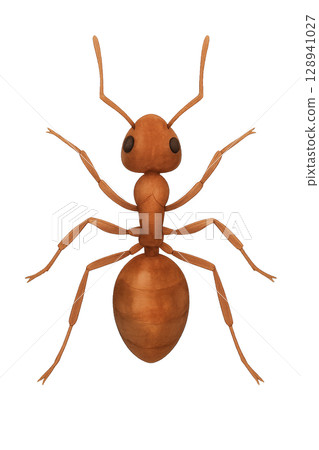螞蟻插圖素材 128941027