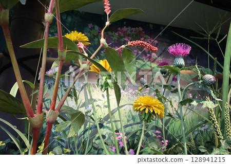 Ghibli Park, Ghibli's Big Warehouse, and the Little People's Garden [Nagakute City, Aichi] 128941215