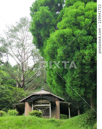 Mine Rice Terraces, Fuda Shrine, Yamato Town, Kamimashiki District, Kumamoto Prefecture Mine Rice Terraces, Fuda Shrine, Yamato Town, Kamimashiki District, Kumamoto Prefecture 128941722