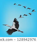 Stork in flight 128942976