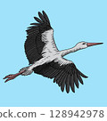 Stork in flight 128942978