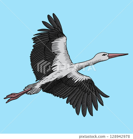 Stork in flight 128942978