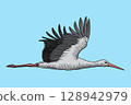 Stork in flight 128942979