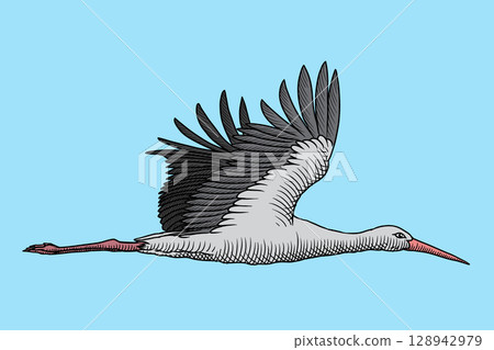 Stork in flight Stork in flight 128942979