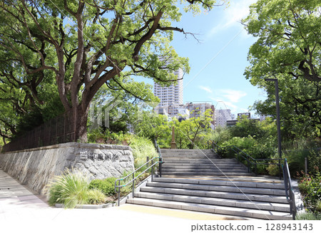 夏季的東遊園地（兵庫縣神戶市） 128943143