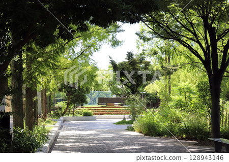 夏季的東遊園地（兵庫縣神戶市） 128943146