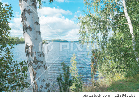 [Tampere, Finland] Lake and birch trees 128943195