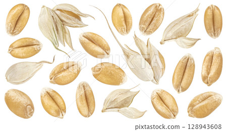 Wheat seeds isolated on white background, falling unpeeled wheat grains collection, macro, full depth of field 128943608