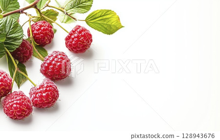 Fresh raspberry twigs with green leaves, top view with copy space on white background 128943676