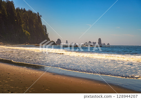 Sea Stacks and Forested Cliffs at La Push Third Beach, Washington State Sea Stacks and Forested Cliffs at La Push Third Beach, Washington State 128944207