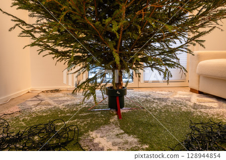 Dry Christmas tree in stand with fallen needles on carpet indoors after holidays 128944854