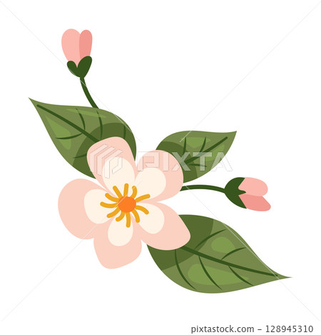 Flowers peaches flat vector illustration Flowers peaches flat vector illustration 128945310