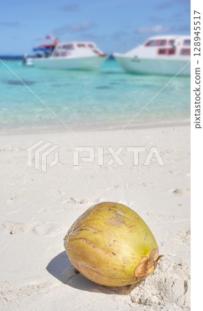 Coconut on the beach of Timba Timba Island, Borneo, Malaysia. 128945517
